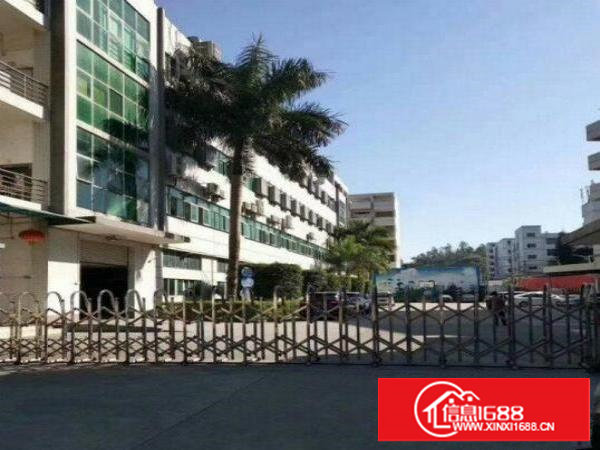 大坪,新出独院2200,超豪华大气,现房,租20元