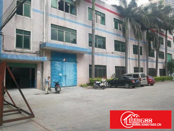 惠阳新圩原房东标准厂房一楼1400平方厂房出租