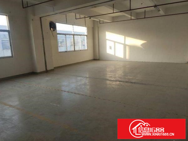 横岗厂房仓库办公底价出租300平方