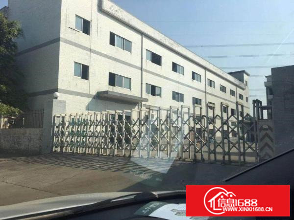 桥头镇田新村独院标准厂房13层3500平方急租