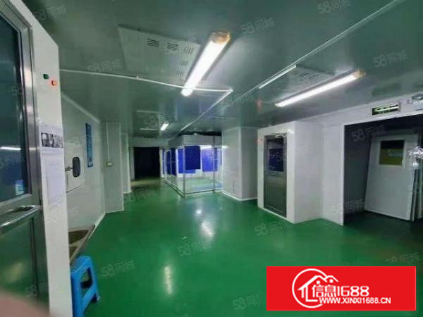 塘厦环深高速附近现成无尘车间出租2256平好招工