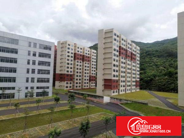 清溪镇罗马全新园区9万平招租，临近马路，交通便利，易招工！！