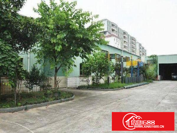 惠阳新墟东城光明新出经典小独院单一层800平方整租,租金便宜