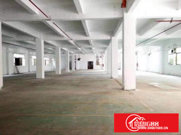 万江石美标准一楼600平方招租(有宿舍)水电齐全，厂区空地大