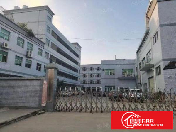 塘厦镇新出独院厂房6900平方，实际面积，交通便利