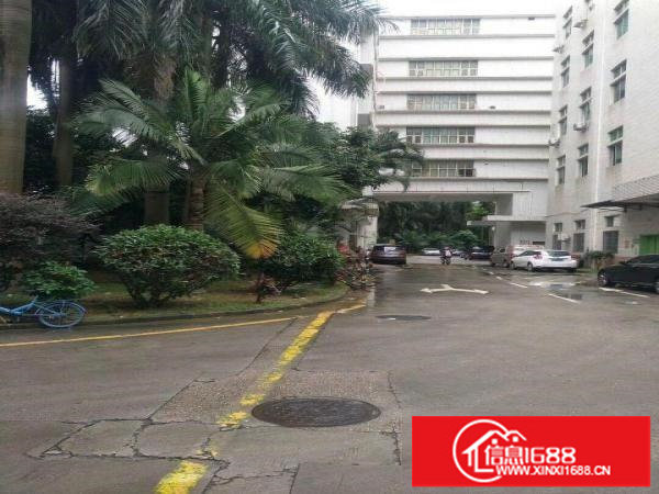 丹竹头地铁站旁立信路91号160平带装修厂房业主直租