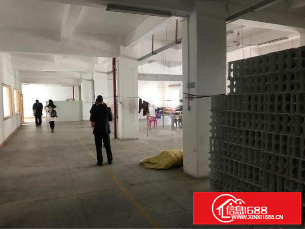 平湖广场五米高一楼1380平米招租