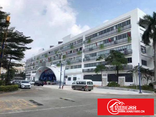 适合电商精装修办公室！坪山六联高新产业园100平起办公室出租