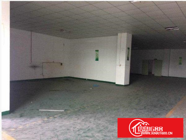 清溪青皇独院一楼800平方原房东