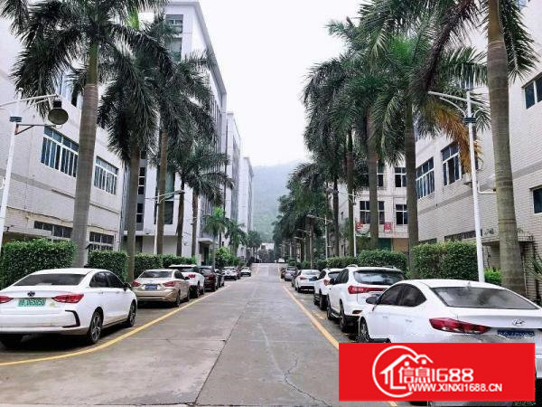 横岗安良新出300平厂房_办公室_电梯房_环境好