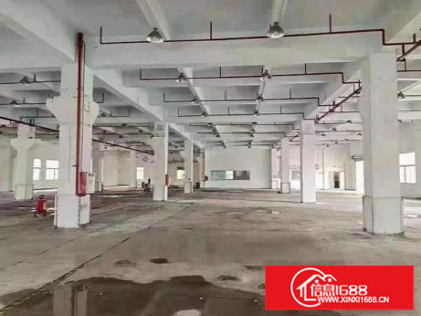 乌沙靠近深圳新出独院厂房