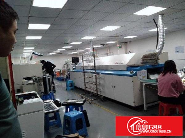 横岗西坑村独院厂房650平方出租，精装修，带无尘车间
