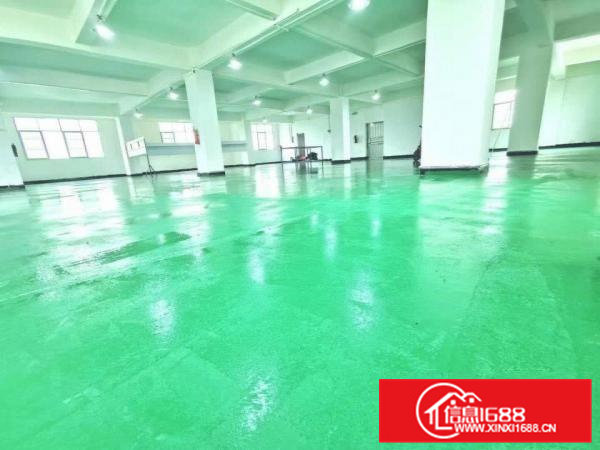 粤美特加油站附近全新厂房带停车场业主直租