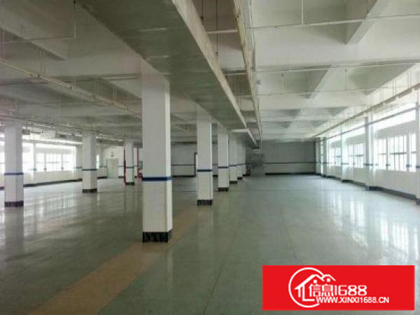 坪山大工业区一楼3200平方6米高厂房出租