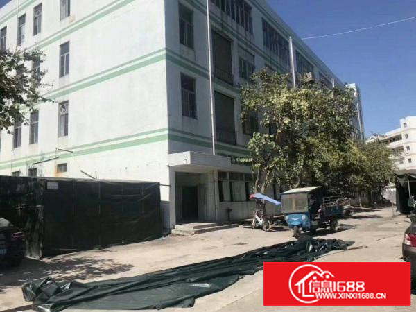 厂房靠龙岗大道楼上950平方