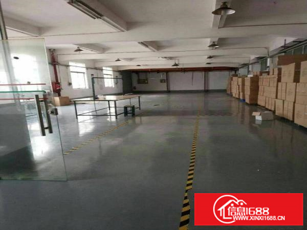 坑梓老坑新出一楼300平方，实际面积，带装修