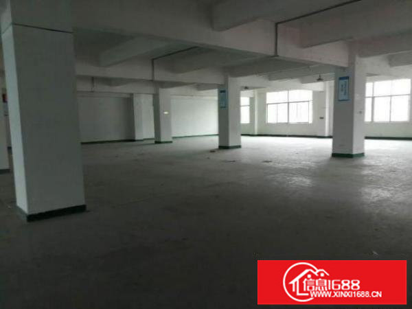 布龙路边元芬工业园新出一楼500平方