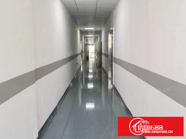 龙华油松数字产业园精装80到5000平办公厂房出租