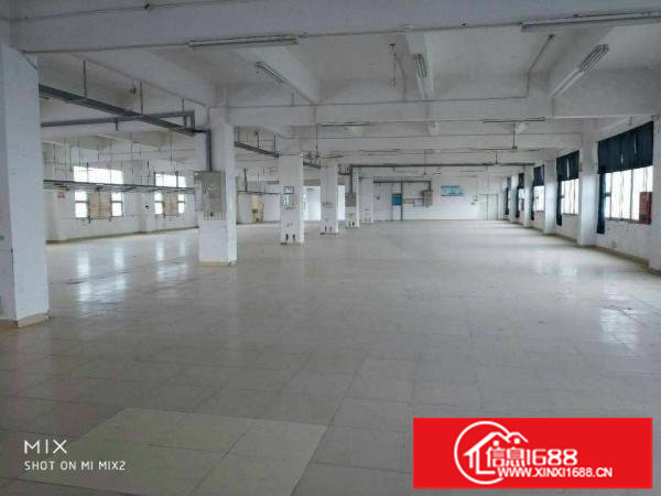 坪山新出大型独院厂房6w平方出租，有红本，空地大