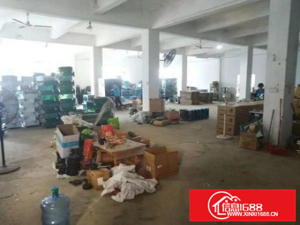 容桂容边主干道旁边独院分租一楼300平方带装修高度7米