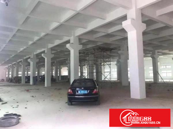 泰美原房东全新工业园14元招租可签15年合同