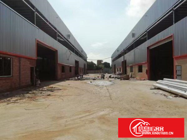 芦苞三水大道全新厂房