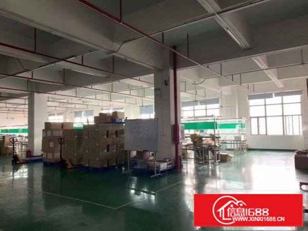 塘厦科苑城新出二楼1000平，公摊小，配置齐全原房东直租