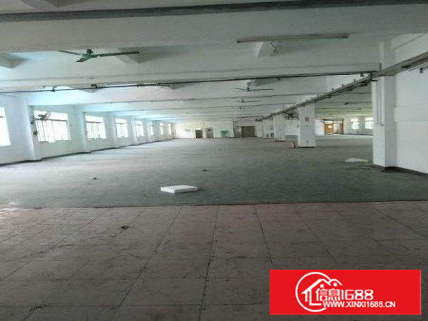 长安新出一楼600平米带装修带环评厂房招租