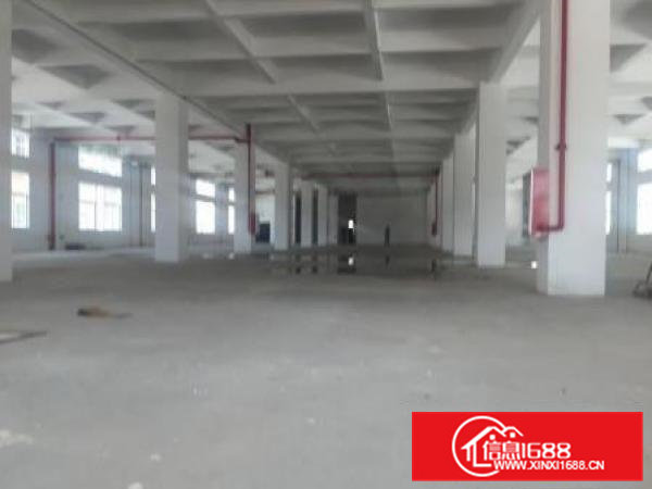 横沥田头独院厂房1600平2200平4500平