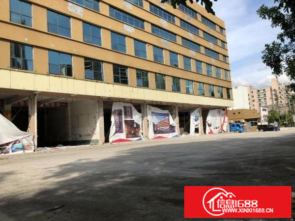 布龙路主道旁一楼商铺1800平,4S店名车广场汽车维修等