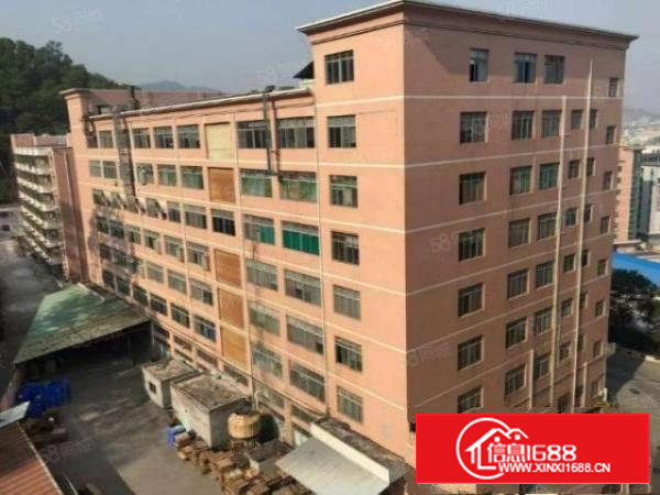 西乡新空楼上整层2300平米园区厂房仓库办公室200起分租