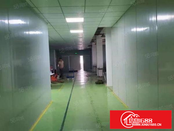 寮步横坑原房东带精装修标准厂房1000平方出租.