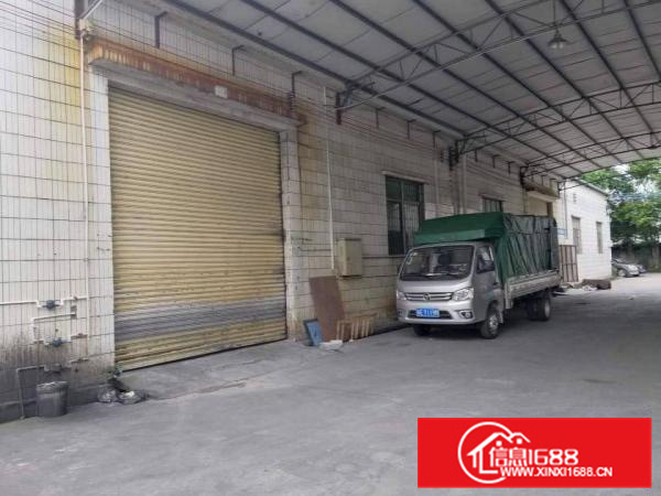 狮山有351和831厂房出租，带空地，形象好