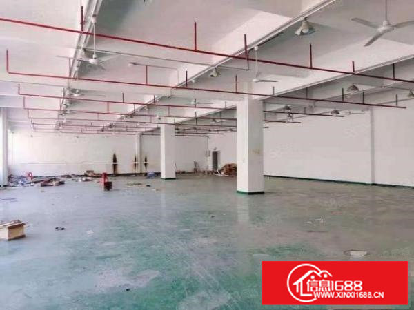 凤岗高新产业园分租楼上980平现成水电办公室带电梯形象佳