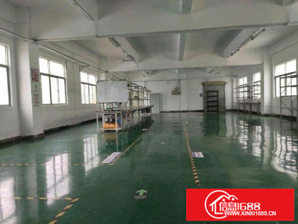 大康厂房仓库出租300平方，有电梯