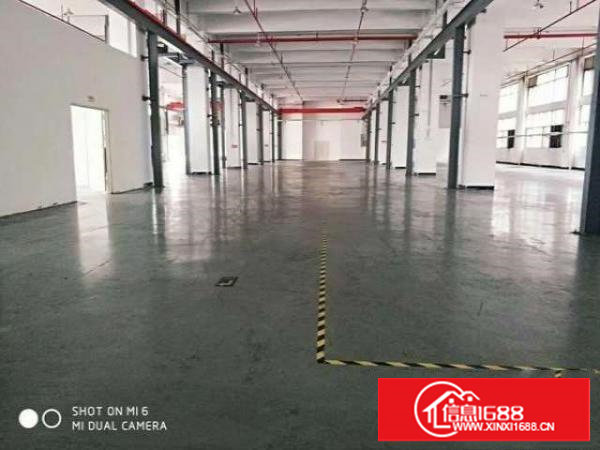 （出租）新出长安厦岗3000平厂房带装修水电齐全