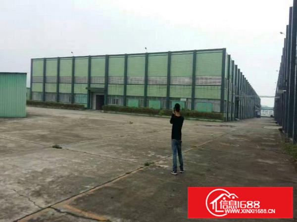 镇隆新出重工层高12米钢构厂房11000平米出租