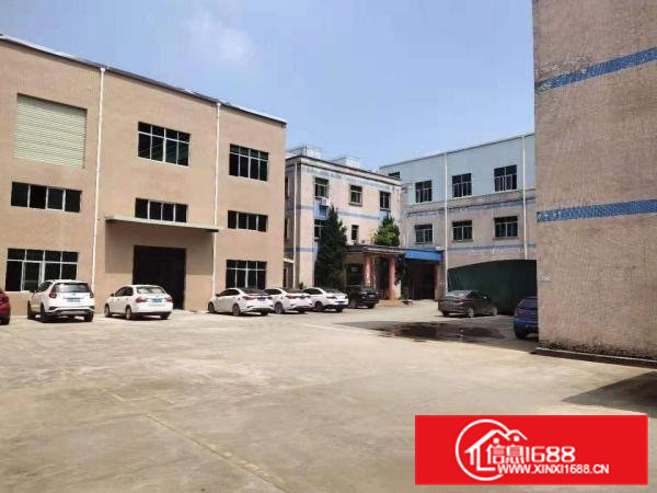 常平独院厂房出租整租分租无公摊办公室楼仓库原房东