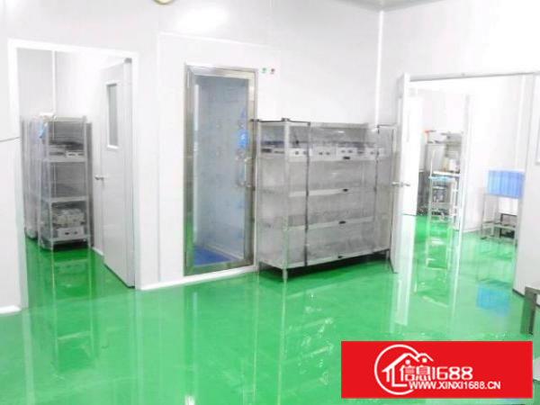 东莞横沥200平方无尘车间招租