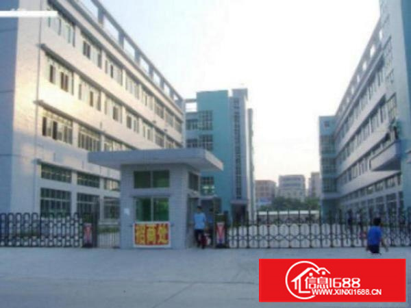 万江独院厂房分租一楼2000平方低价招租，带牛角