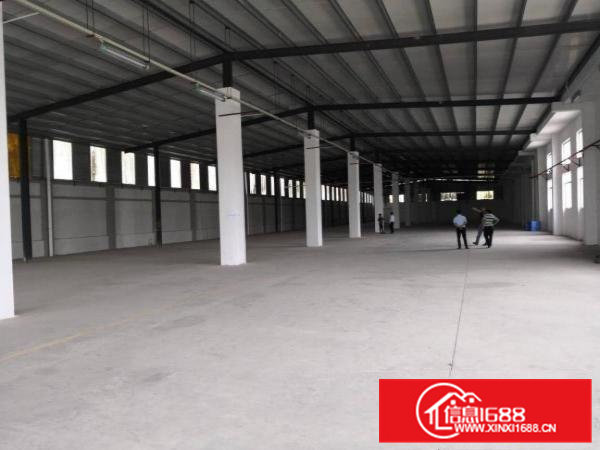 新出工业区一楼标准厂房1500平方米出租