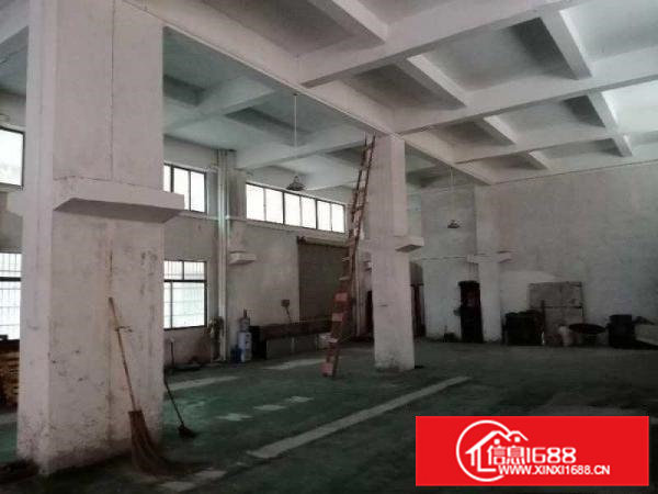 新出带牛角厂房出租、带办公室装修