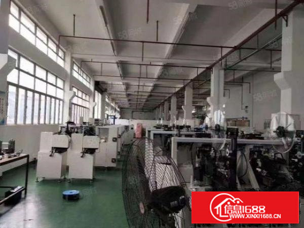 塘厦新出独栋2600平标准厂房出租