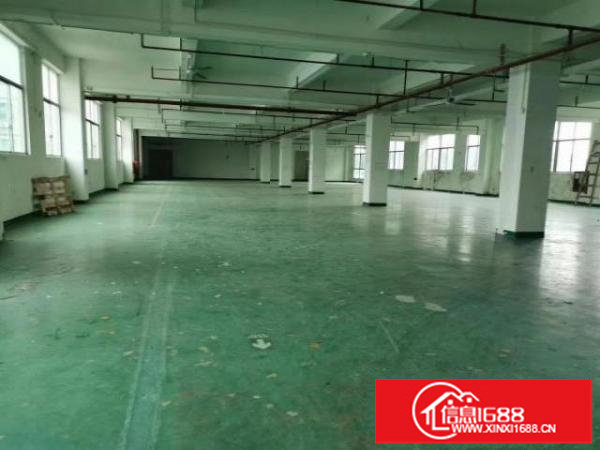坂田厂房出租二楼1300平，一楼3000平出租，租金便宜