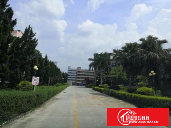 观澜新田.原房东直租.带现成装修.三楼800平方厂房出租