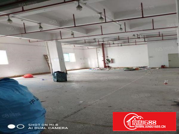 350平仓库厂房非中介带装修平价出租