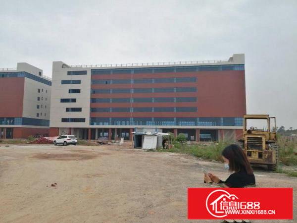 出租，清溪超大，全新厂房，单价17元