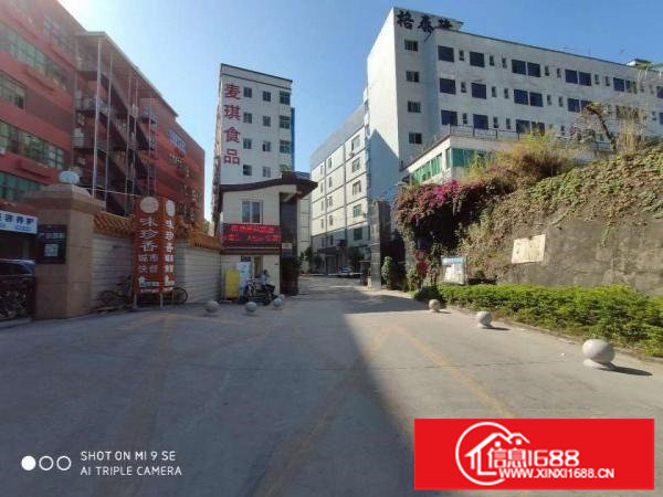 业主直租坂田杨美地铁站1楼厂房招租