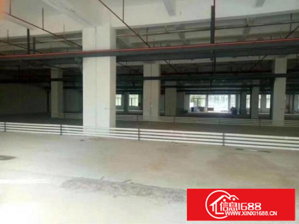 龙岗同乐新出原房东独院一二楼1800平出厂房共两层