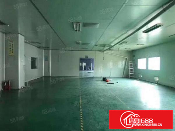 龙岗区南联原房东无尘车间厂房1000平方招租400平起租